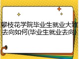 攀枝花学院毕业生就业大致去向如何(毕业生就业去向)