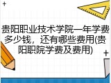 贵阳职业技术学院一年学费多少钱，还有哪些费用(贵阳职院学费及费用)