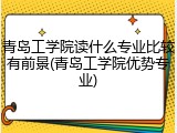 青岛工学院读什么专业比较有前景(青岛工学院优势专业)