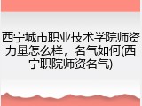 西宁城市职业技术学院师资力量怎么样，名气如何(西宁职院师资名气)
