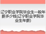 辽宁职业学院毕业生一般年薪多少钱(辽宁职业学院毕业生年薪)