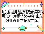 山东铝业职业学院就读期间可以申请哪些奖学金(山东铝业职业学院奖学金)
