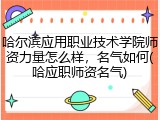 哈尔滨应用职业技术学院师资力量怎么样，名气如何(哈应职师资名气)