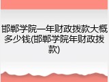 邯郸学院一年财政拨款大概多少钱(邯郸学院年财政拨款)