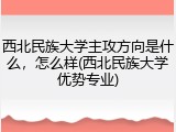 西北民族大学主攻方向是什么，怎么样(西北民族大学优势专业)