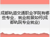 成都轨道交通职业学院有哪些专业，就业前景如何(成都轨院专业就业)