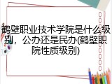 鹤壁职业技术学院是什么级别，公办还是民办(鹤壁职院性质级别)