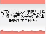 马鞍山职业技术学院共开设有哪些类型奖学金(马鞍山职院奖学金种类)