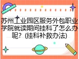 苏州工业园区服务外包职业学院就读期间挂科了怎么办呢？(挂科补救办法)