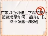 广东以色列理工学院的图书馆藏书量如何，简介(广以图书馆藏书概况)