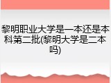 黎明职业大学是一本还是本科第二批(黎明大学是二本吗)
