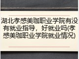 湖北孝感美珈职业学院有没有就业指导，好就业吗(孝感美珈职业学院就业情况)