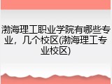 渤海理工职业学院有哪些专业，几个校区(渤海理工专业校区)