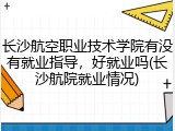 长沙航空职业技术学院有没有就业指导，好就业吗(长沙航院就业情况)