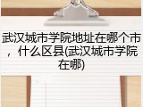 武汉城市学院地址在哪个市，什么区县(武汉城市学院在哪)