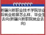 新疆兴新职业技术学院毕业后就业前景怎么样，毕业生去向(新疆兴新职院就业去向)