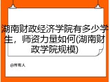 湖南财政经济学院有多少学生，师资力量如何(湖南财政学院规模)