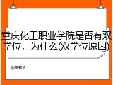 重庆化工职业学院是否有双学位，为什么(双学位原因)
