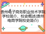 贵州电子商务职业技术学院学校简介，校史概述(贵州电商学院校史简介)