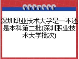 深圳职业技术大学是一本还是本科第二批(深圳职业技术大学批次)