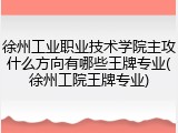 徐州工业职业技术学院主攻什么方向有哪些王牌专业(徐州工院王牌专业)