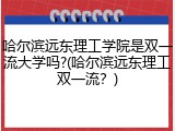 哈尔滨远东理工学院是双一流大学吗?(哈尔滨远东理工双一流？)