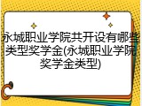 永城职业学院共开设有哪些类型奖学金(永城职业学院奖学金类型)