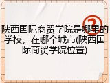 陕西国际商贸学院是哪里的学校，在哪个城市(陕西国际商贸学院位置)