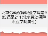 北京劳动保障职业学院是985还是211(北京劳动保障职业学院属性)
