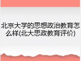 北京大学的思想政治教育怎么样(北大思政教育评价)