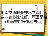 湖南交通职业技术学院什么专业就业比较好，原因是啥(湖南交院好就业专业)