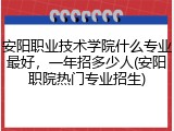 安阳职业技术学院什么专业最好，一年招多少人(安阳职院热门专业招生)