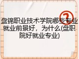 盘锦职业技术学院哪些专业就业前景好，为什么(盘职院好就业专业)