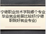 宁德职业技术学院哪个专业毕业就业前景比较好(宁德职院好就业专业)