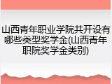 山西青年职业学院共开设有哪些类型奖学金(山西青年职院奖学金类别)