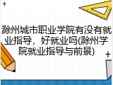 滁州城市职业学院有没有就业指导，好就业吗(滁州学院就业指导与前景)