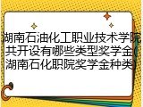 湖南石油化工职业技术学院共开设有哪些类型奖学金(湖南石化职院奖学金种类)