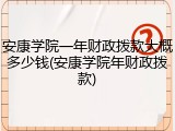 安康学院一年财政拨款大概多少钱(安康学院年财政拨款)