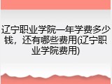 辽宁职业学院一年学费多少钱，还有哪些费用(辽宁职业学院费用)