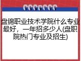 盘锦职业技术学院什么专业最好，一年招多少人(盘职院热门专业及招生)
