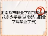湖南都市职业学院到毕业要花多少学费(湖南都市职业学院毕业学费)