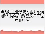 黑龙江工业学院专业开设有哪些,特色在哪(黑龙江工院专业特色)