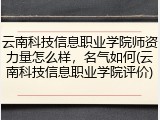 云南科技信息职业学院师资力量怎么样，名气如何(云南科技信息职业学院评价)