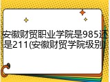 安徽财贸职业学院是985还是211(安徽财贸学院级别)