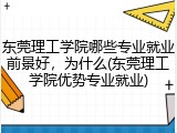 东莞理工学院哪些专业就业前景好，为什么(东莞理工学院优势专业就业)