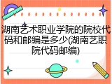 湖南艺术职业学院的院校代码和邮编是多少(湖南艺职院代码邮编)