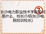 长沙电力职业技术学院校训是什么，校长介绍(长沙电院校训校长)
