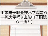 山东电子职业技术学院是双一流大学吗?(山东电子职院双一流？)