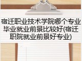 宿迁职业技术学院哪个专业毕业就业前景比较好(宿迁职院就业前景好专业)