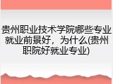 贵州职业技术学院哪些专业就业前景好，为什么(贵州职院好就业专业)